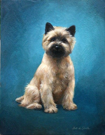 Cairn Terrier by Beth de Loiselle