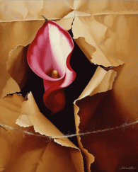 Calla Lilly by Sarah Van Der Helm - www.noaps.org/html/master_artists.html