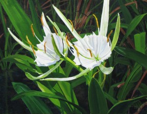Spider Lilies by Jeanette Chupack - www.jchupackart.com