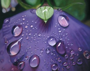 Violet Edge by Ginny Lasco www.ginnylasco.com