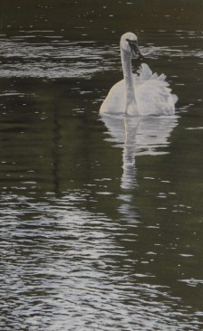 Frentnerthumbnail_Afternoon on the Madison