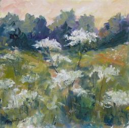 NOAPS Davis Queen Anne in the Field