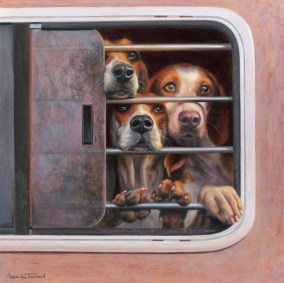 NOAPS Thompson Ready 11x11