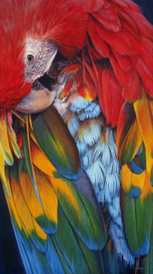 NOAPS Altenburg Blue Cascades