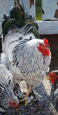 NOAPS Altenburg King of the Coop