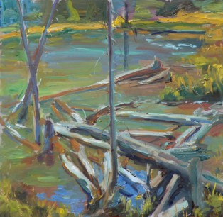 noaps kalwick beaver pond 12x12