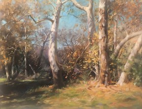 NOAPS Wu The Color of the Fall 16x20