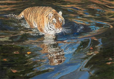 NOAPS Besse Stealth - Amur Tiger[27730]