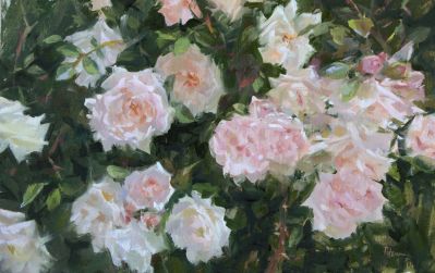 NOAPS PUtnam New Dawn